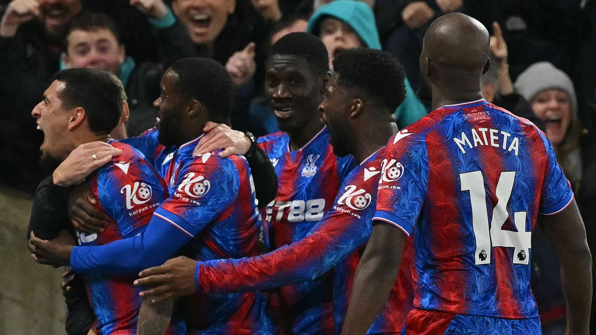 注视下完成 注视下完成